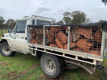 The Ultimate Bute Load of RedGum Firewood